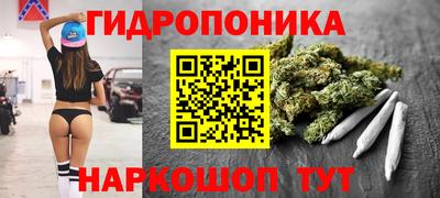 прущие грибы Заводоуковск