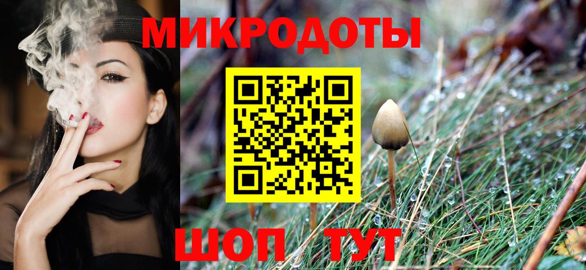 Псилоцибиновые грибы Cubensis Мурманск